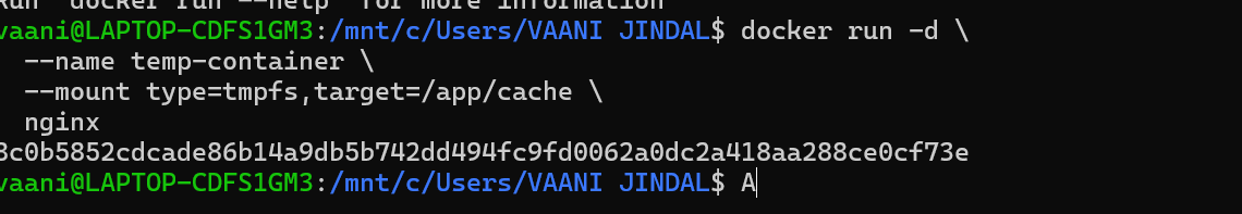 Docker Volume Output
